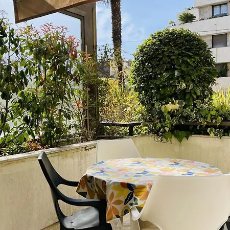 Gray D'albion Rou503