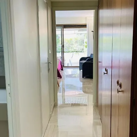 Gray D'albion Rou503 * 칸느