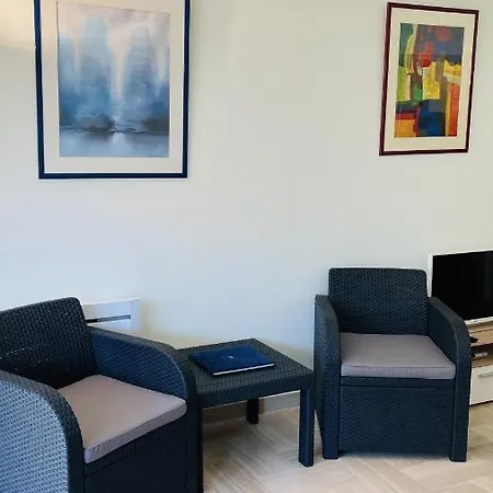 Gray D'albion Rou503 * 칸느