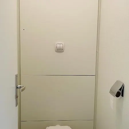 Gray D'albion Rou503