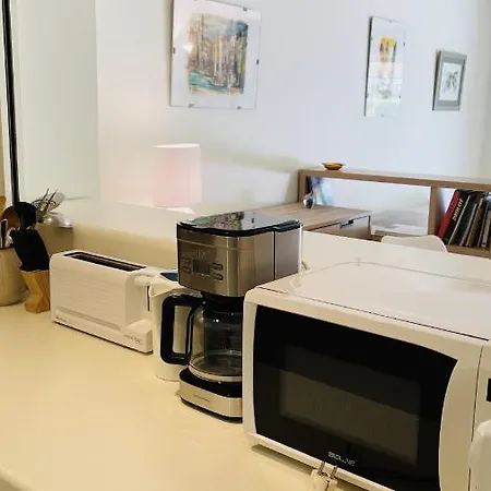 Gray D'albion Rou503 * 칸느