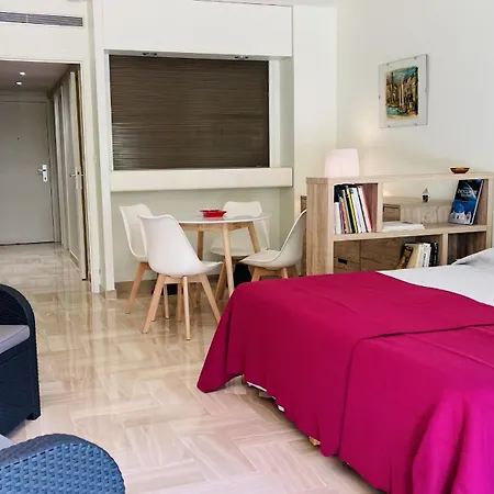 Gray D'albion Rou503 *