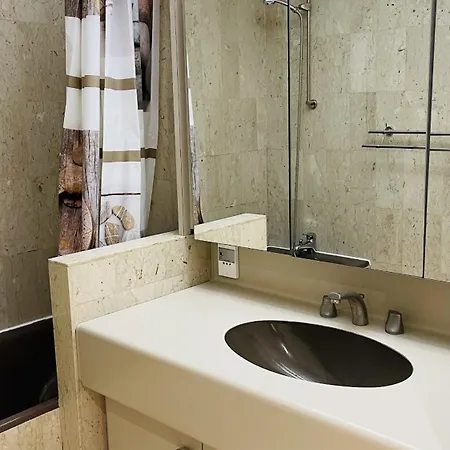 Gray D'albion Rou503