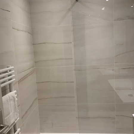 Gray D'albion Rou503 칸느